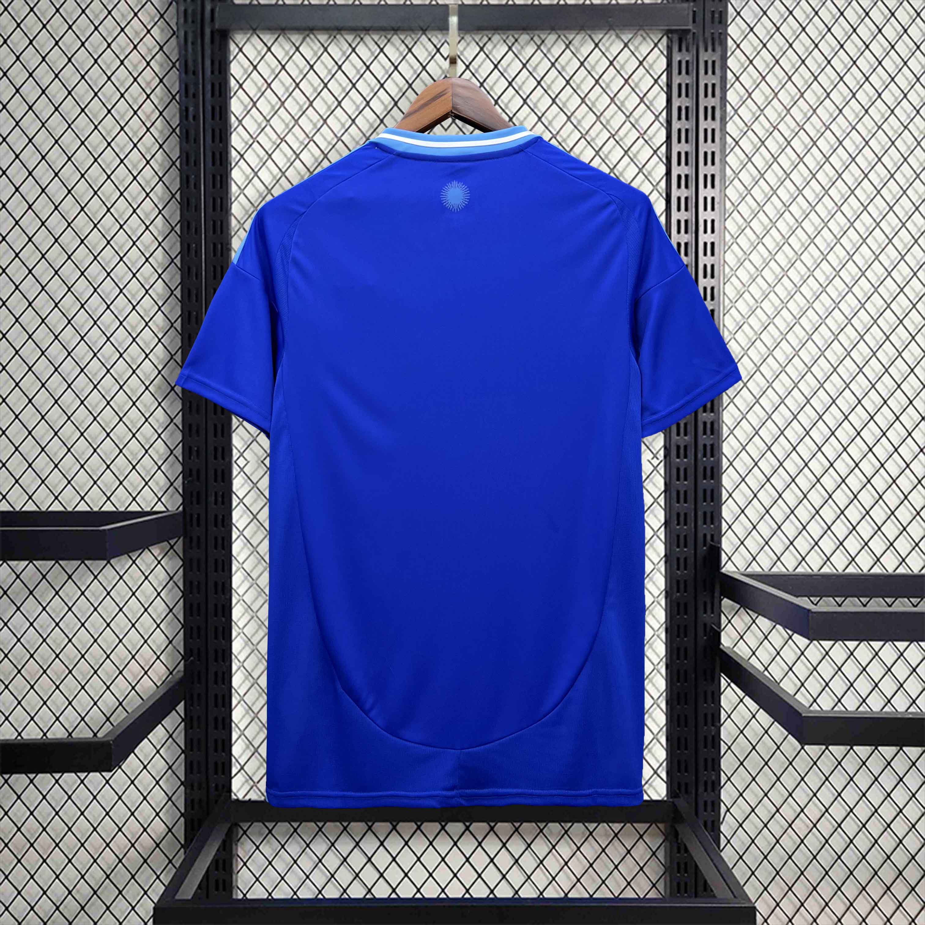 2024 Argentina Copa America Away Soccer Jersey - view 3