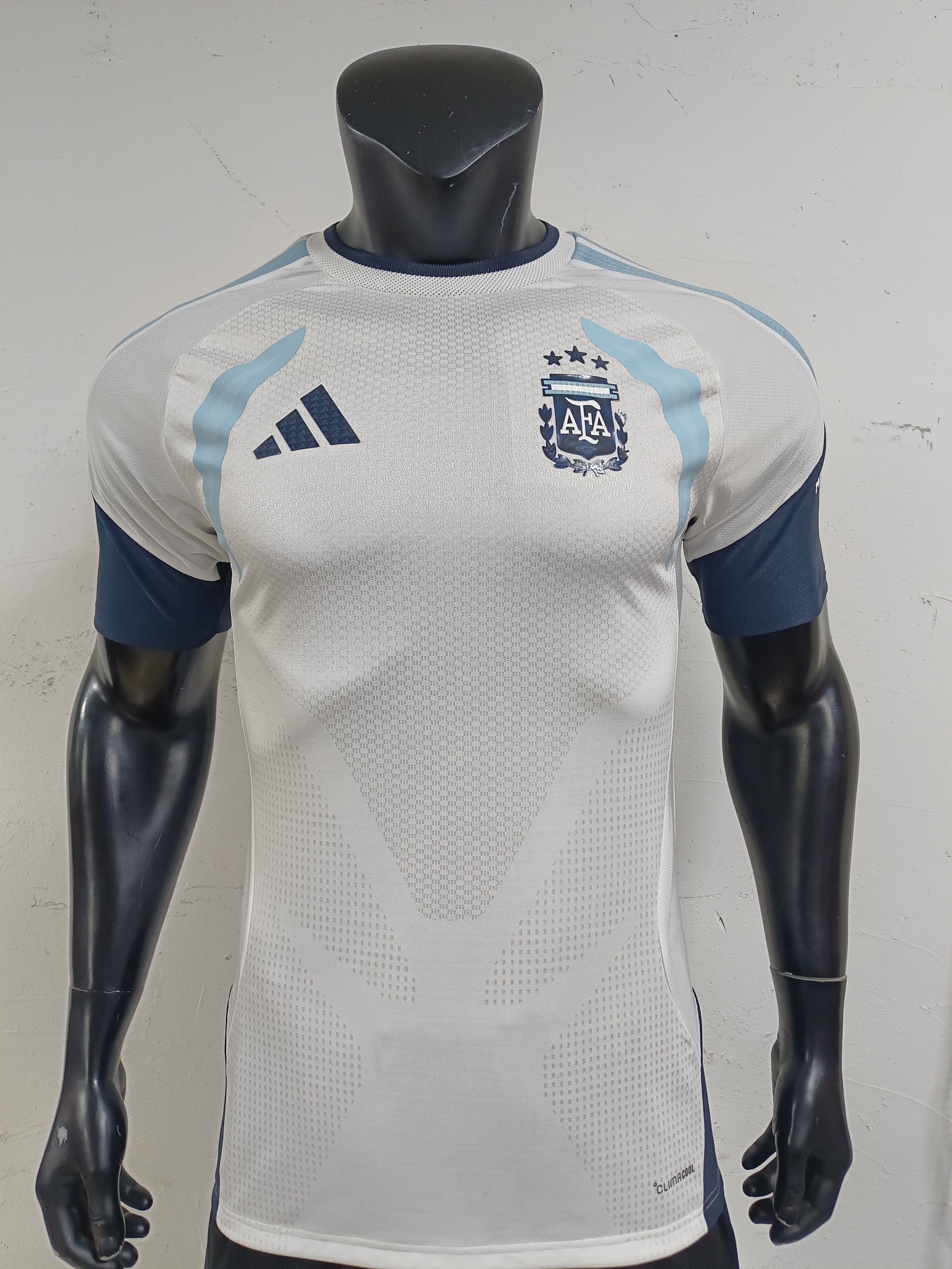 National Team 2026 Argentina Training Jersey vs The Original: A Detailed Comparison