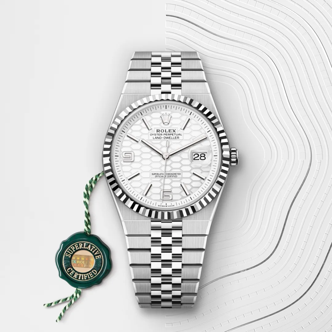 Rolex Land-Dweller 36 White Gold - gallery