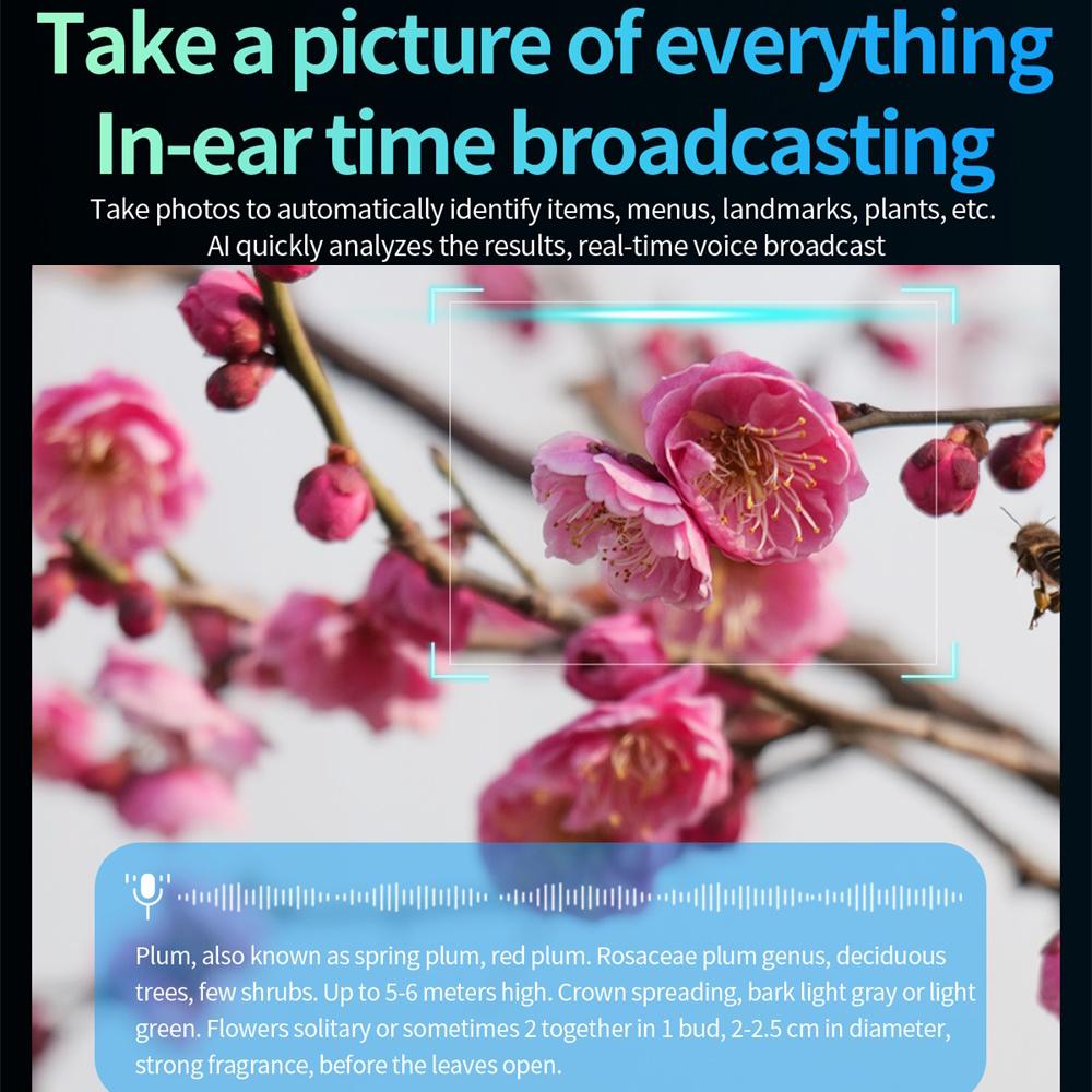 AI Smart Glasses 800W HD Camera Sunglasses Men Women Anti Blue Light The Map Translation Video Call Take Photos UV Protection Wearable Mj