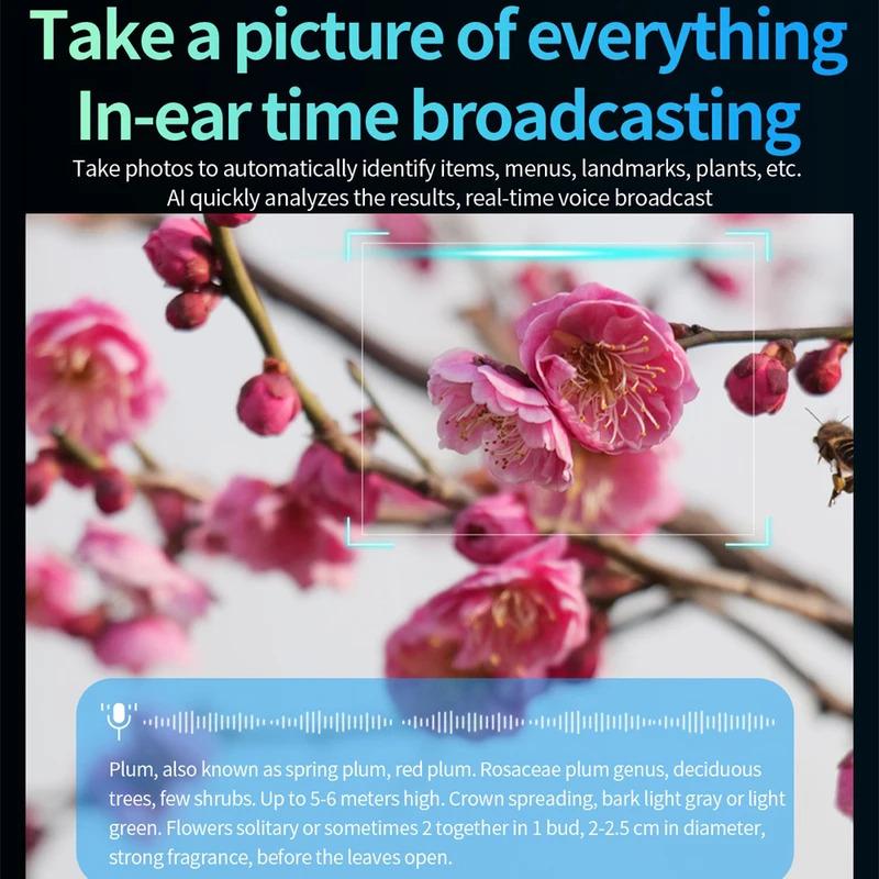 Women AI Smart Glasses 800W HD Camera Anti Blue Light The Map Translation Video Call Take Photos UV Protection Sunglasses Men Wearable